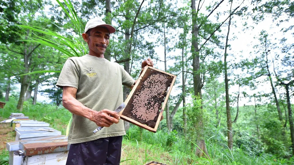 6ljophssogog8s0woswk4