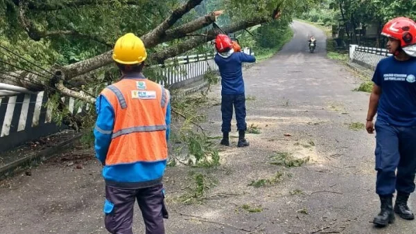 a32j7sgoc4c4k4wckgsc