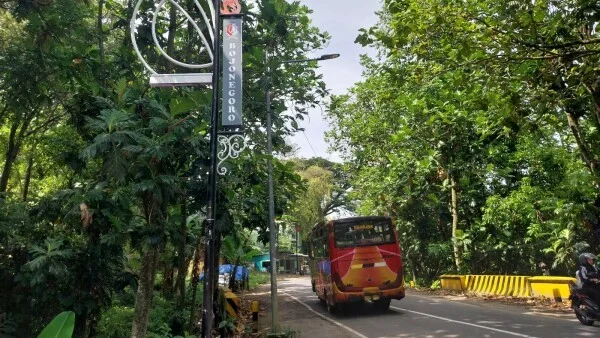 dlqsaaokkggc0wo4w8okg